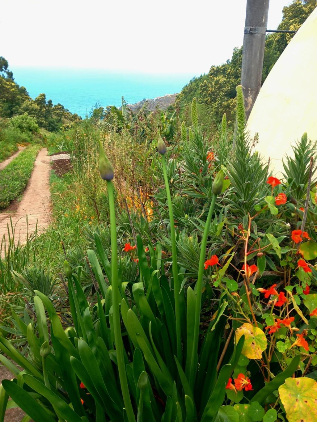 Arambha Ecovillage Farmstay Tabua  Exterior photo
