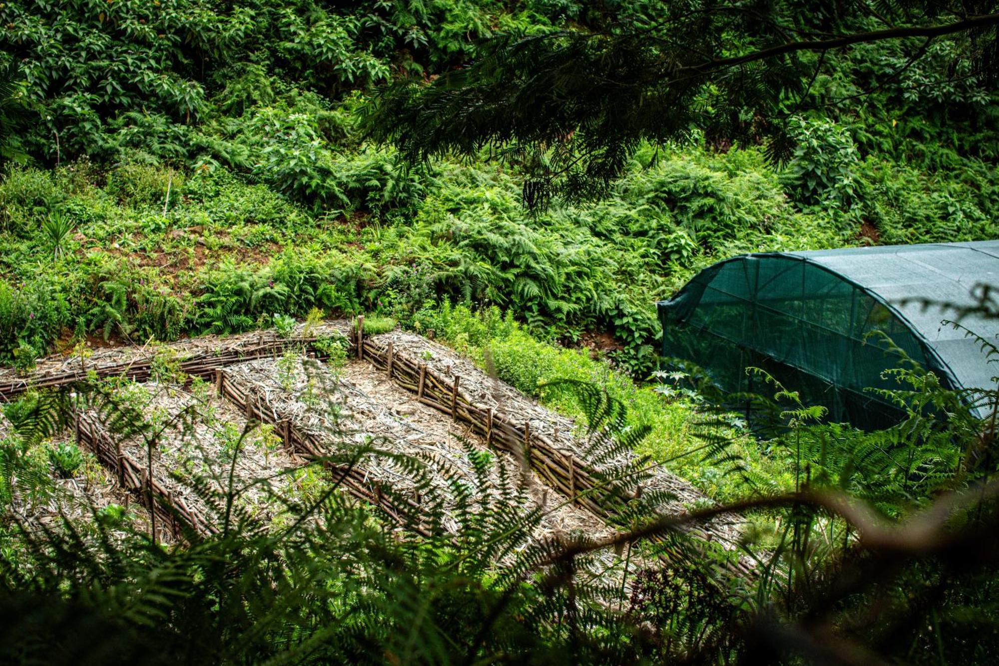 Arambha Ecovillage Farmstay Tabua  Exterior photo